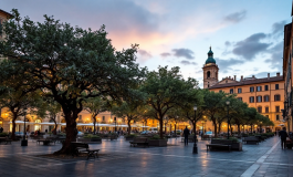 Immagine che rappresenta la protezione degli animali