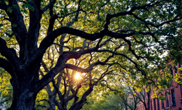 Immagine che rappresenta l'inchiesta sull'omicidio di Garlasco