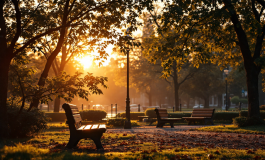 Alessia Cammarota e Aldo Palmeri insieme sorridenti