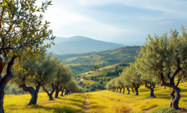 Immagine del referendum per l'indipendenza della Sicilia