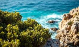 Intervento di soccorso all'isola d'Elba in azione