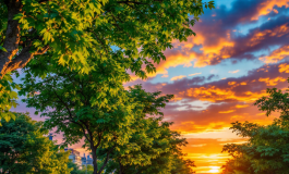 Sophie Codegoni riflette sulla sua vita dopo la separazione