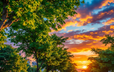 Sophie Codegoni riflette sulla sua vita dopo la separazione