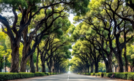 Immagine del Tar che accoglie il ricorso a Pescara