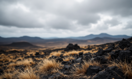 Mappa sismica dei Campi Flegrei a Napoli