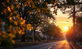 Immagine di un ragazzo di 14 anni in Bricherasio