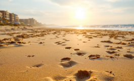Donna travolta da ruspa sulla spiaggia di Pinarella di Cervia