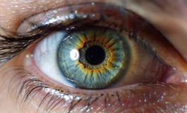 featured 2187585 265x160