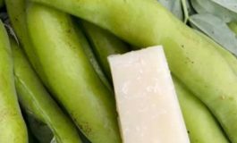 featured 2187714 265x160