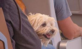 featured 2202281 265x160