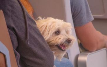 featured 2202281 364x230