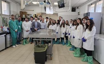 featured 2203972 364x225