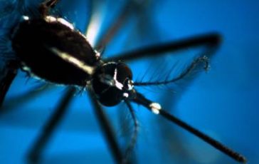 featured 2212850 364x230