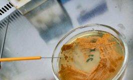 featured 2214071 265x160