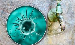 featured 2218602 265x160