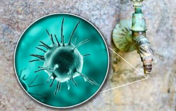 featured 2218602 364x230