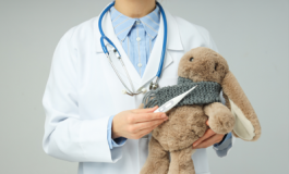 featured 2218698 265x160