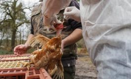 featured 2218866 265x160