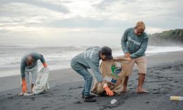 featured 2223916 265x160