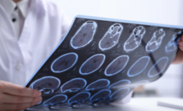 featured 2229977 265x160