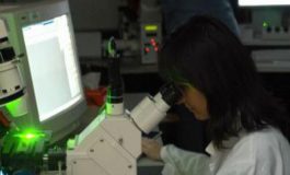 featured 2230092 265x160