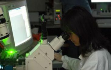 featured 2230092 364x230