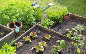 Giardino libero da infestazioni: le strategie più efficaci