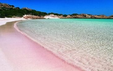 isola dei famosi prossima puntata