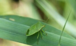 image b30e8e7c cd19 4037 87c5 7e7210468567 265x160