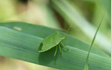 image b30e8e7c cd19 4037 87c5 7e7210468567 364x230