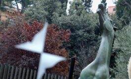 doc remake luca argentero