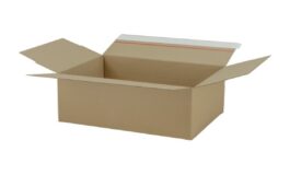 milanonotizie 265x160