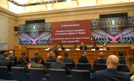 featured 2263909 265x160