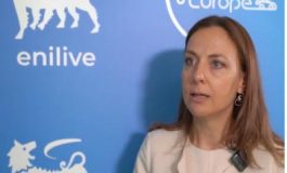 featured 2270059 265x160