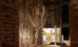 featured 2302778 265x160