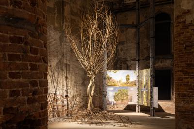 Sostenibilit&agrave;, Gruppo Saviola: Pannelli Ecologici per Triennale Milano e Biennale Architettura
