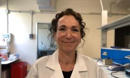 featured 2357366 265x160