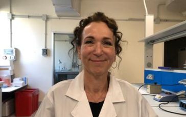 featured 2357366 364x230