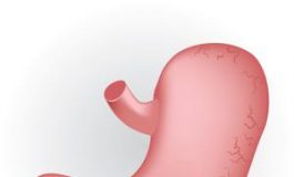 featured 2399598 265x160