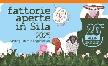 featured 2425443 364x225