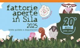 featured 2425512 265x160