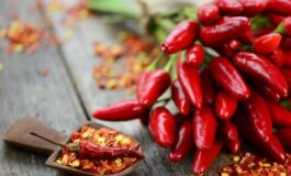 image 1432f612 3864 4f70 8aa9 e9bedb630d0b 265x160