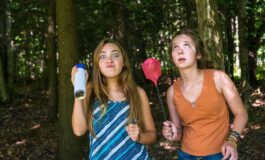 Mosche in casa a giugno: perché aumentano e come liberarsene