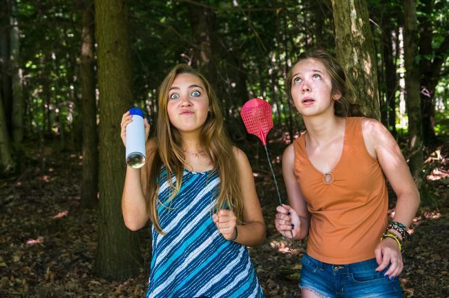 Mosche in casa a giugno: perché aumentano e come liberarsene