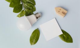 lampadina risparmio energetico sulla scrivania 265x160