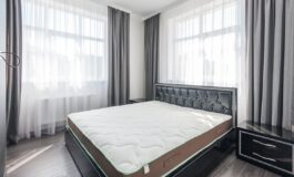 pexels heyho 7533840 265x160