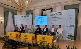 featured 2480262 265x160