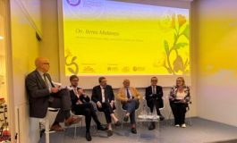 featured 2480651 265x160