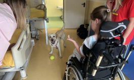 featured 2493391 265x160