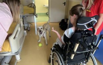 featured 2493391 364x230